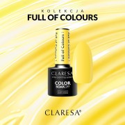 Claresa-Full-of-Colours-1.jpg