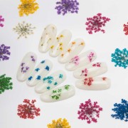 suszone-kwiaty-do-zdobien-paznokci-mollylac-fuchsia-5szt (2).jpg