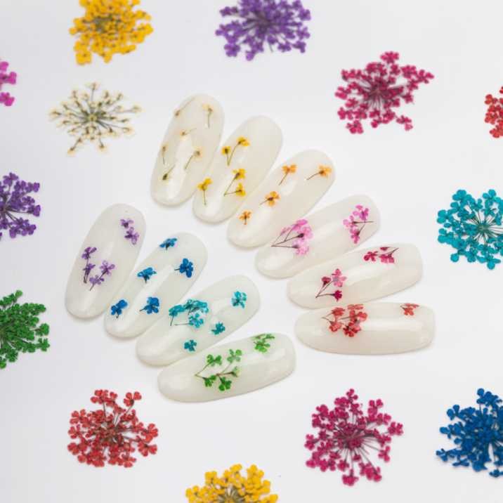 suszone-kwiaty-do-zdobien-paznokci-mollylac-fuchsia-5szt (2).jpg