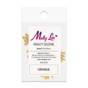 suszone-kwiaty-do-zdobien-paznokci-mollylac-orange-5szt (3).jpg