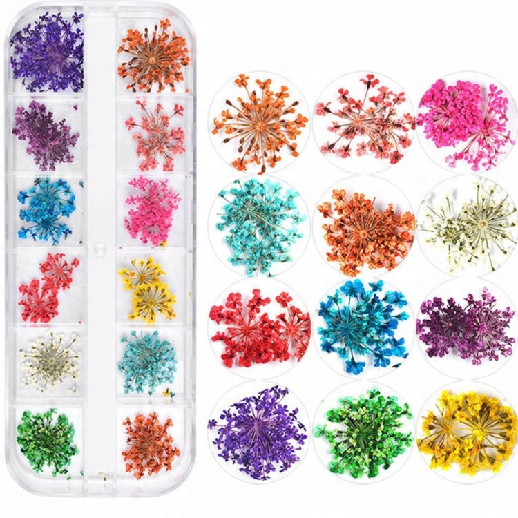 Clavier ozdoby do paznokci suszone kwiaty, różne kolory: fiolet, pomarańcz, ciemny fiolet, jasny róż, niebieski, róż, żółty, biały, jasno-niebieski, zielony. Białe tło.