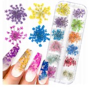 Suszone kwiaty do ozdoby paznokci manicure. Długie paznokcie ze zdobieniami. Suszone kwiaty w kolorach: ciemno-fioletowy, fioletowy, żółty, niebieski. Białe tło.