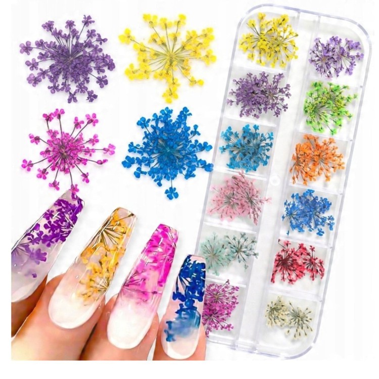 Suszone kwiaty do ozdoby paznokci manicure. Długie paznokcie ze zdobieniami. Suszone kwiaty w kolorach: ciemno-fioletowy, fioletowy, żółty, niebieski. Białe tło.